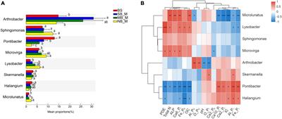 Maize-soybean intercropping facilitates chemical and microbial transformations of phosphorus fractions in a calcareous soil